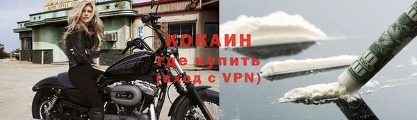 шишки Арсеньев