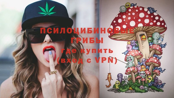 PSILOCYBIN Аркадак