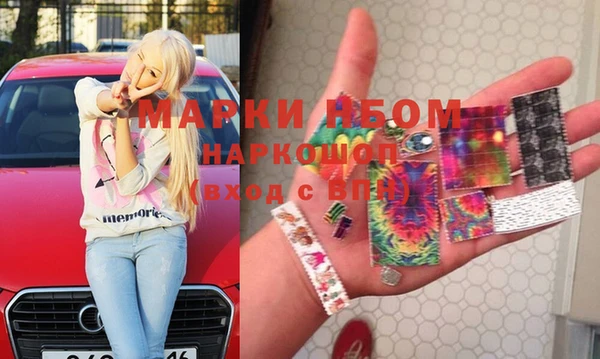 шишки Арсеньев