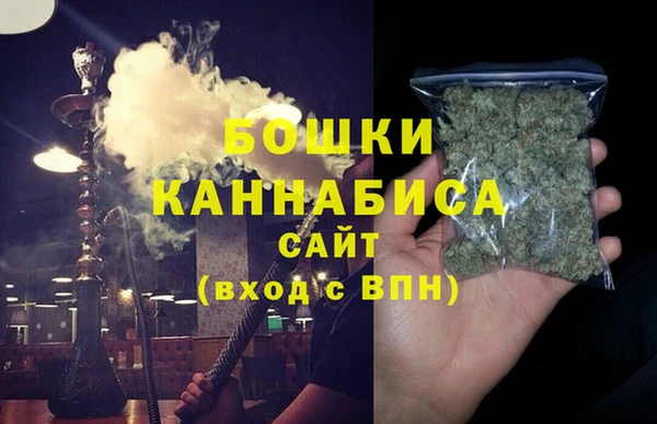 шишки Арсеньев