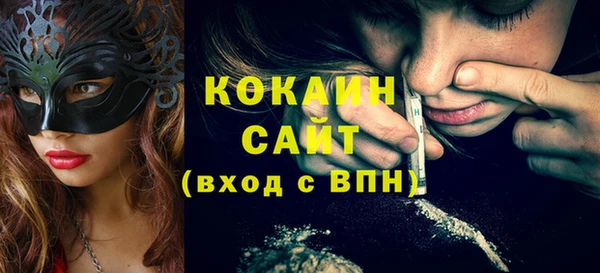 шишки Арсеньев