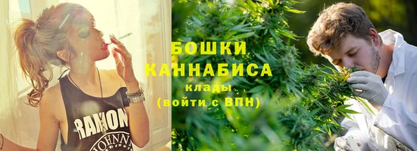 шишки Арсеньев
