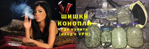 шишки Арсеньев