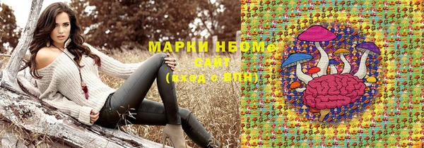 PSILOCYBIN Аркадак