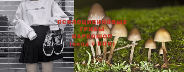 шишки Арсеньев